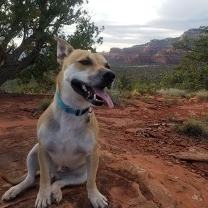 Meet your Posher, Zephan